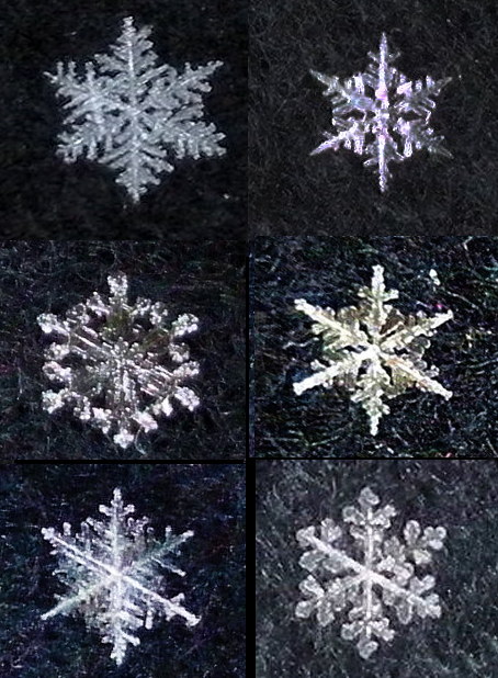 ct_snowflake_mosaic.jpg
