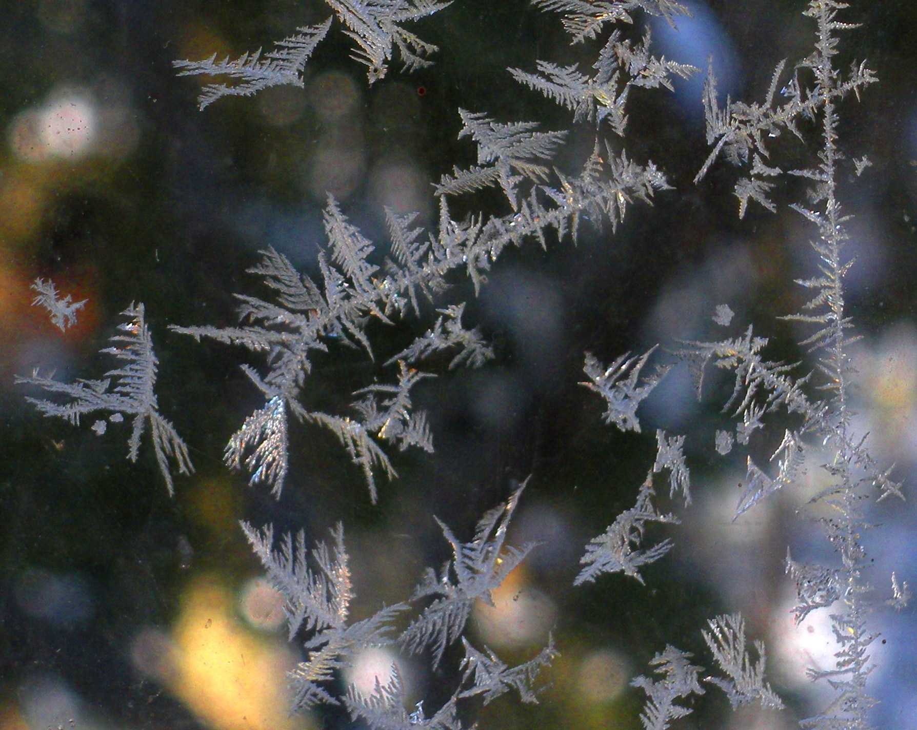 frost02.jpg